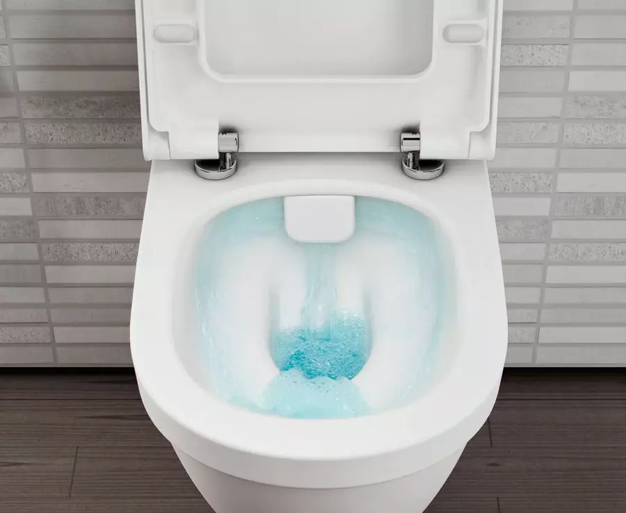 توالت کف بدون بی حوصل: کدام مدل بدون لبه بهتر است؟ انتخاب یک توالت توالت با یک مخزن و بدون آن، از پرسلن یا سفال. امتیاز 10533_8