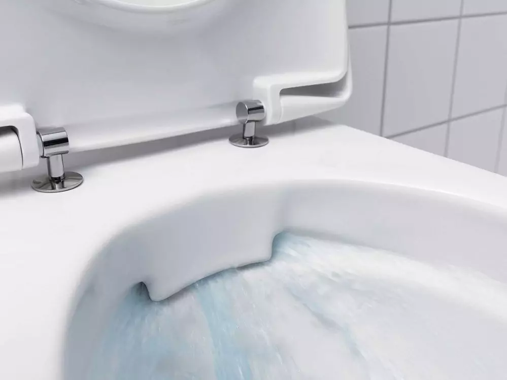 Bearless gulv toalett: Hvilke modeller uten kant er bedre? Å velge en toalettskål med en tank og uten det, fra porselen eller faience. Vurdering 10533_9
