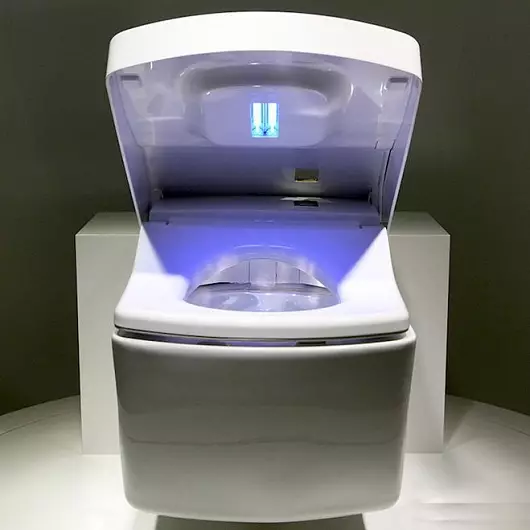 Тото тоалет: Карактеристики на јапонски суспендирани, пад, електронски и други модели за моделирање 10536_14