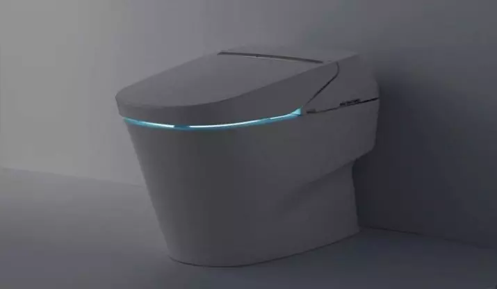 Тото тоалет: Карактеристики на јапонски суспендирани, пад, електронски и други модели за моделирање 10536_20