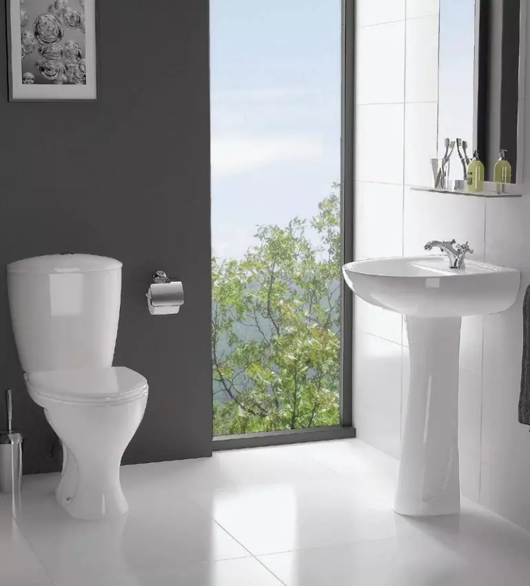 Toaletă Santeri: compactă compactă 