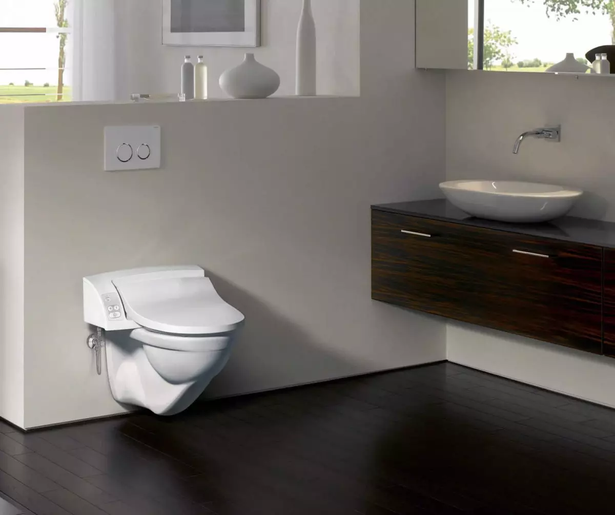 Geberit Tuvaletler: Açık ve asılı yerleşik, elektronik ve öfkeli modellere genel bakış, klozetlerin açıklaması Kolo, Aquaclean ve diğerleri 10540_10