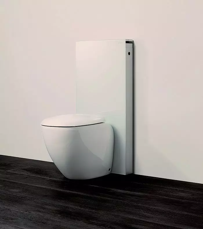 Geberit toaleti: Pregled vanjskih i suspendiranih ugrađenih, elektroničkih i žestokih modela, opis toaletnih zdjela Kolo, Aquaclean i drugi 10540_15