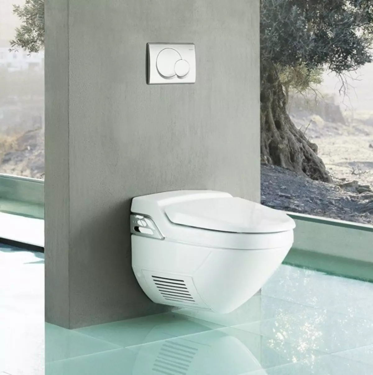 Geberit тоалетни: Преглед на открит и окачени вградена техника, електронни и яростни модели, описание на тоалетни чинии КОЛО, AquaClean, а други 10540_2