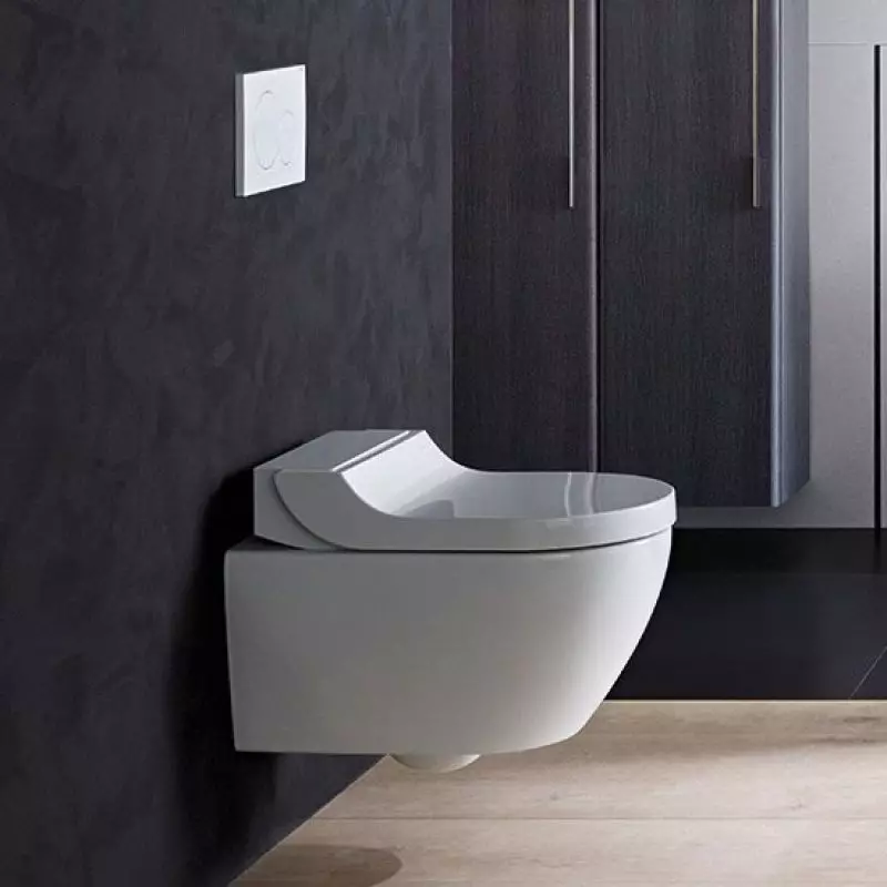 गेबरिट शौचालय: बाहेरील आणि निलंबित अंतर्निहित, इलेक्ट्रॉनिक, इलेक्ट्रॉनिक आणि क्रूर मॉडेल, शौचालयाचे वर्णन, शौचालयाचे कटिंगचे वर्णन 10540_20