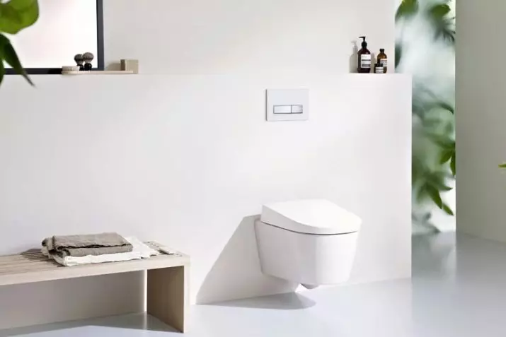 Toilettes Geberit: Vue d'ensemble des modèles intégrés, électroniques et furieux en suspension, description des bols de toilette Kolo, AquaClean et autres 10540_24