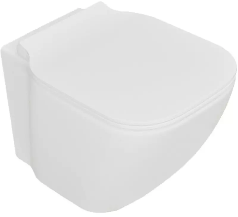 Geberit toilets: Overview of outdoor and suspended built-in, electronic and furious models, description of the toilet bowls KOLO, Aquaclean and others 10540_6