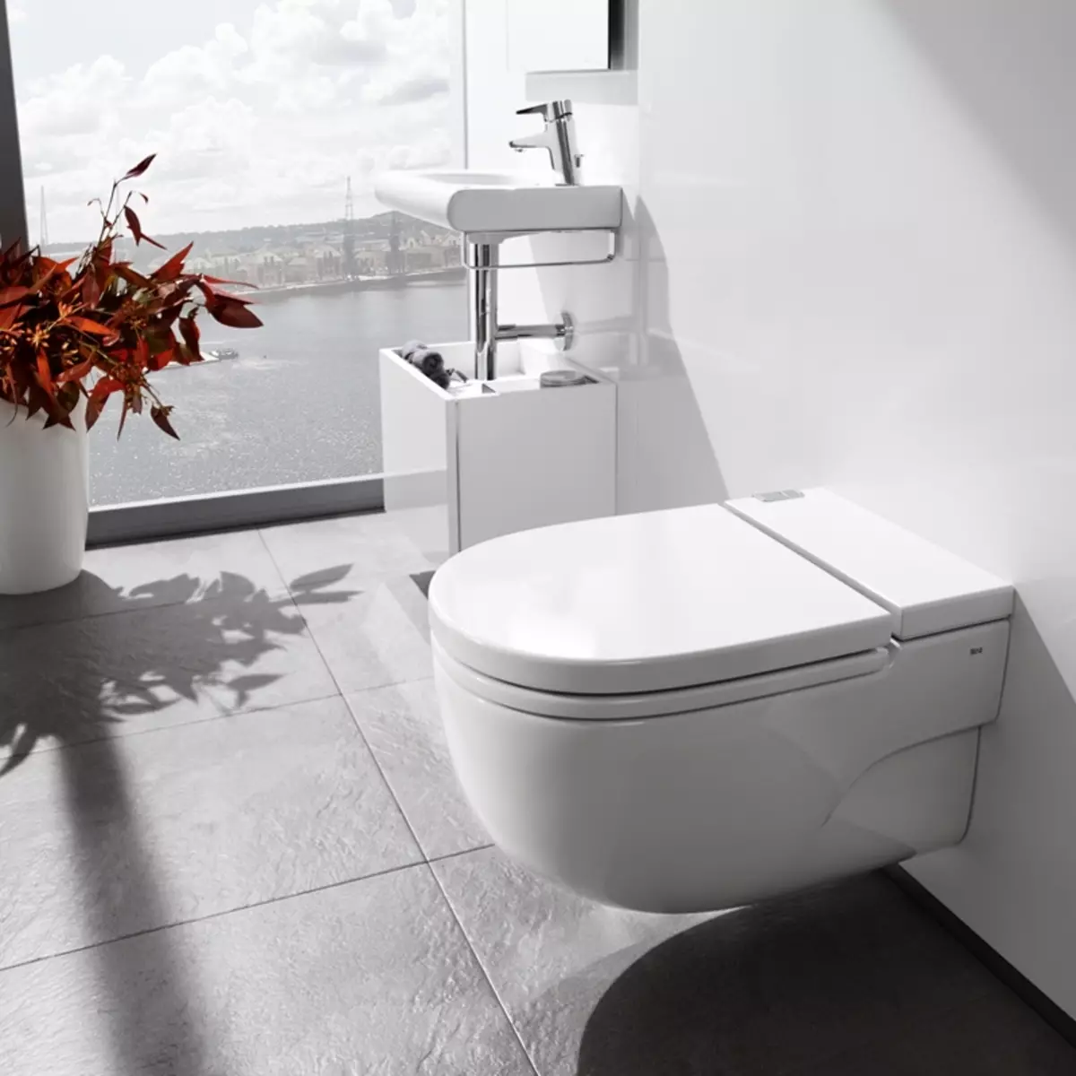 Roca toilette: Kenmerke van opgeskorte en woedende modelle, reindeters van toiletbakke Gap skoon rand en Victoria Nord, Dama Senso Compacto en Debba, Resensies 10542_11