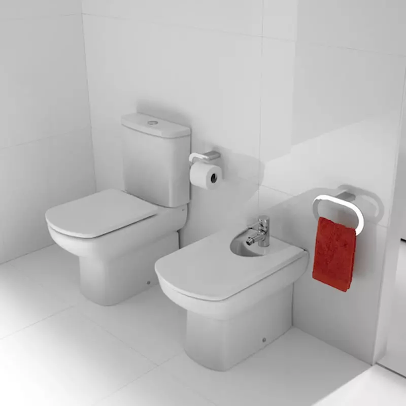 Roca toilette: Kenmerke van opgeskorte en woedende modelle, reindeters van toiletbakke Gap skoon rand en Victoria Nord, Dama Senso Compacto en Debba, Resensies 10542_14