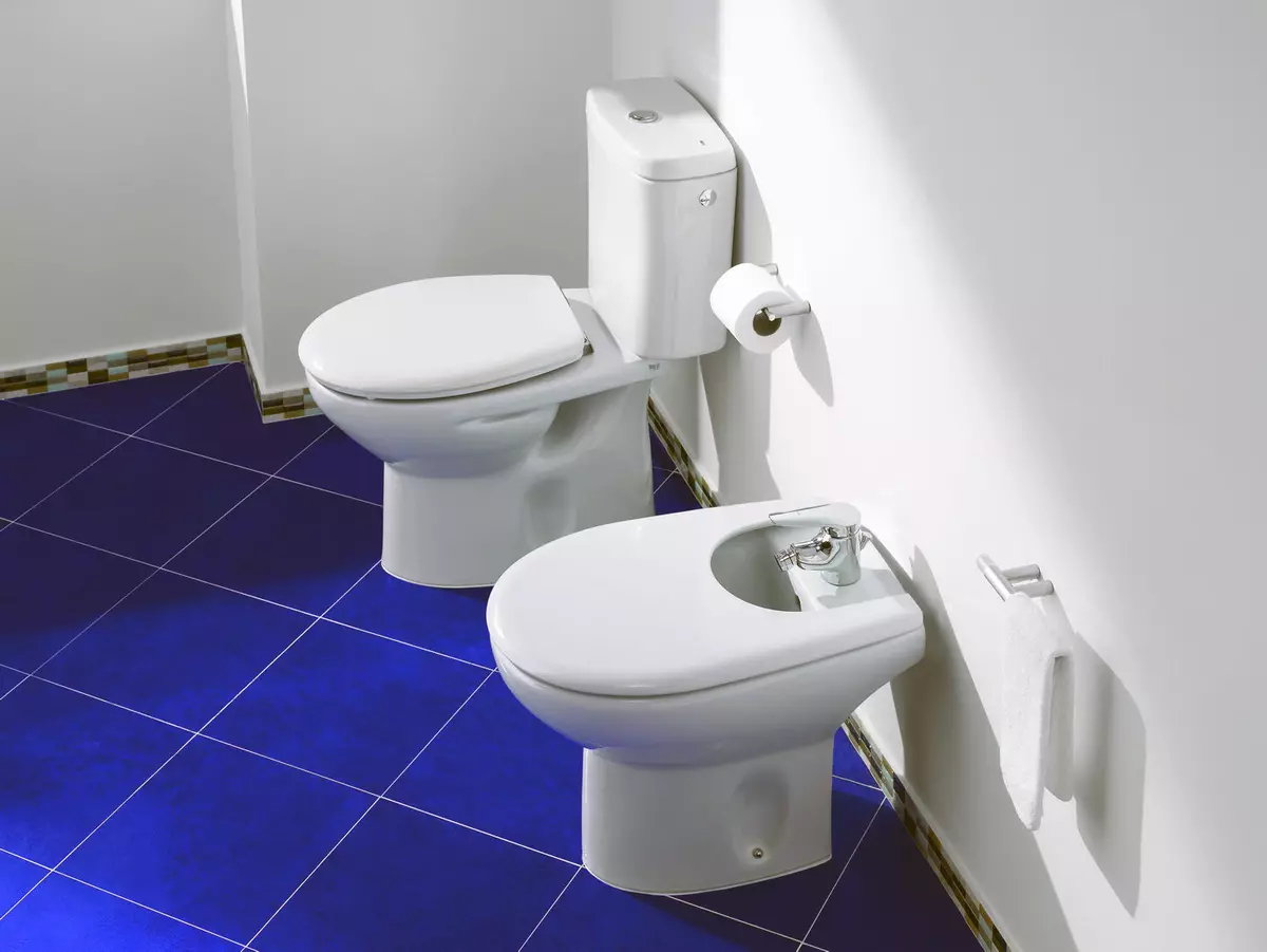 Roca toilette: Kenmerke van opgeskorte en woedende modelle, reindeters van toiletbakke Gap skoon rand en Victoria Nord, Dama Senso Compacto en Debba, Resensies 10542_17