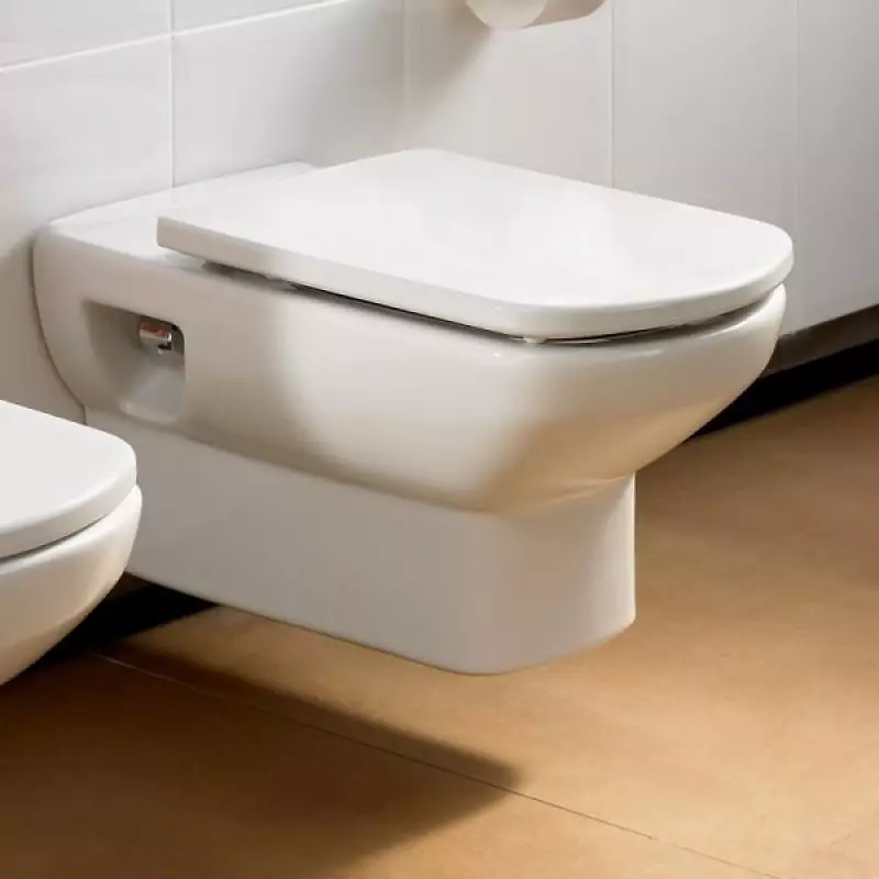 Roca toilette: Kenmerke van opgeskorte en woedende modelle, reindeters van toiletbakke Gap skoon rand en Victoria Nord, Dama Senso Compacto en Debba, Resensies 10542_18