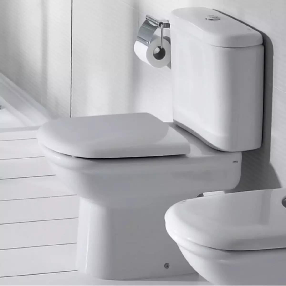 Roca toilette: Kenmerke van opgeskorte en woedende modelle, reindeters van toiletbakke Gap skoon rand en Victoria Nord, Dama Senso Compacto en Debba, Resensies 10542_23