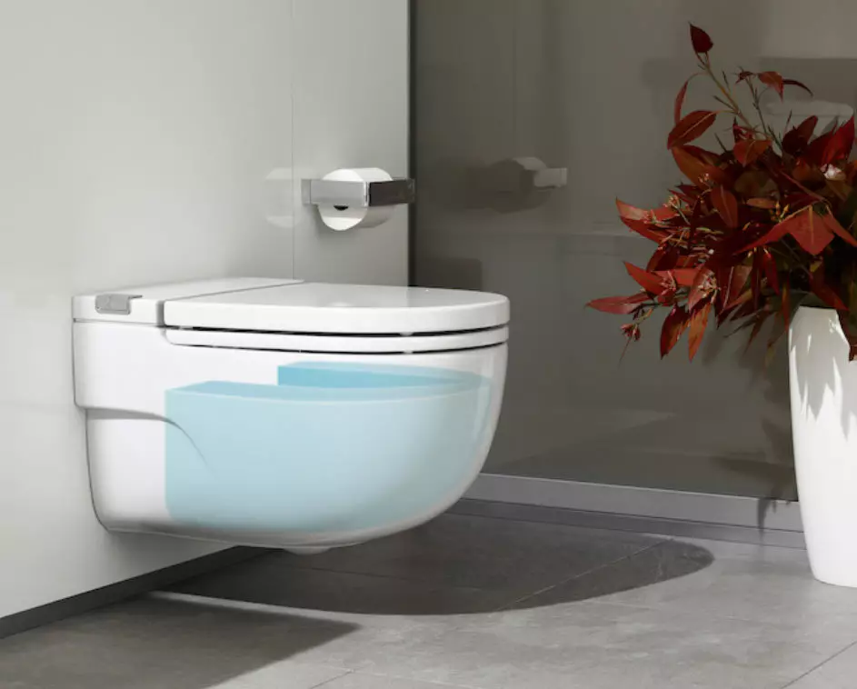 Roca toilette: Kenmerke van opgeskorte en woedende modelle, reindeters van toiletbakke Gap skoon rand en Victoria Nord, Dama Senso Compacto en Debba, Resensies 10542_26