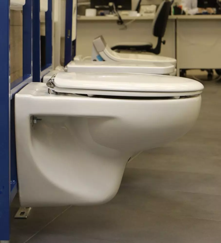Roca toilette: Kenmerke van opgeskorte en woedende modelle, reindeters van toiletbakke Gap skoon rand en Victoria Nord, Dama Senso Compacto en Debba, Resensies 10542_29