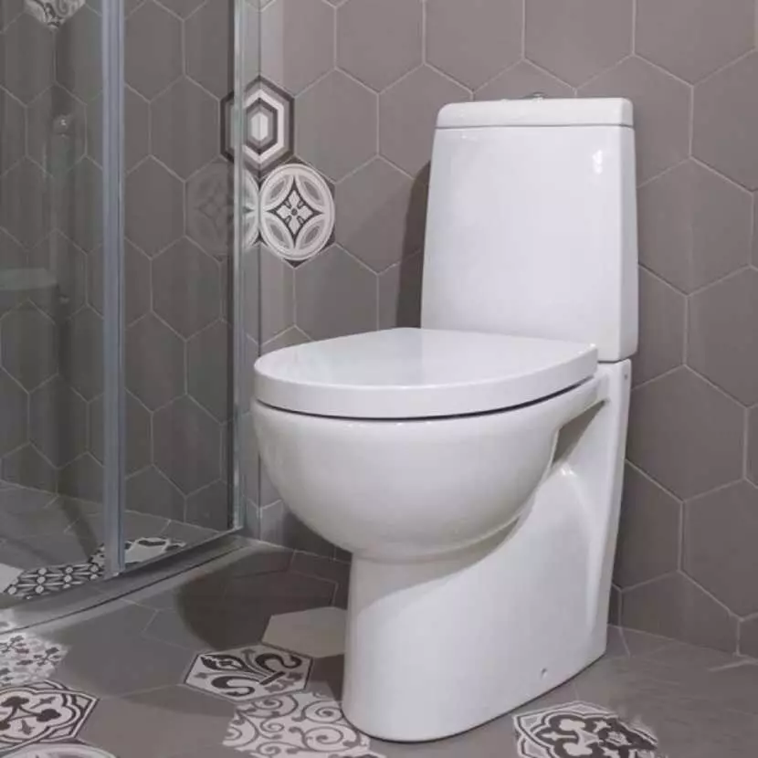 Roca toilette: Kenmerke van opgeskorte en woedende modelle, reindeters van toiletbakke Gap skoon rand en Victoria Nord, Dama Senso Compacto en Debba, Resensies 10542_32