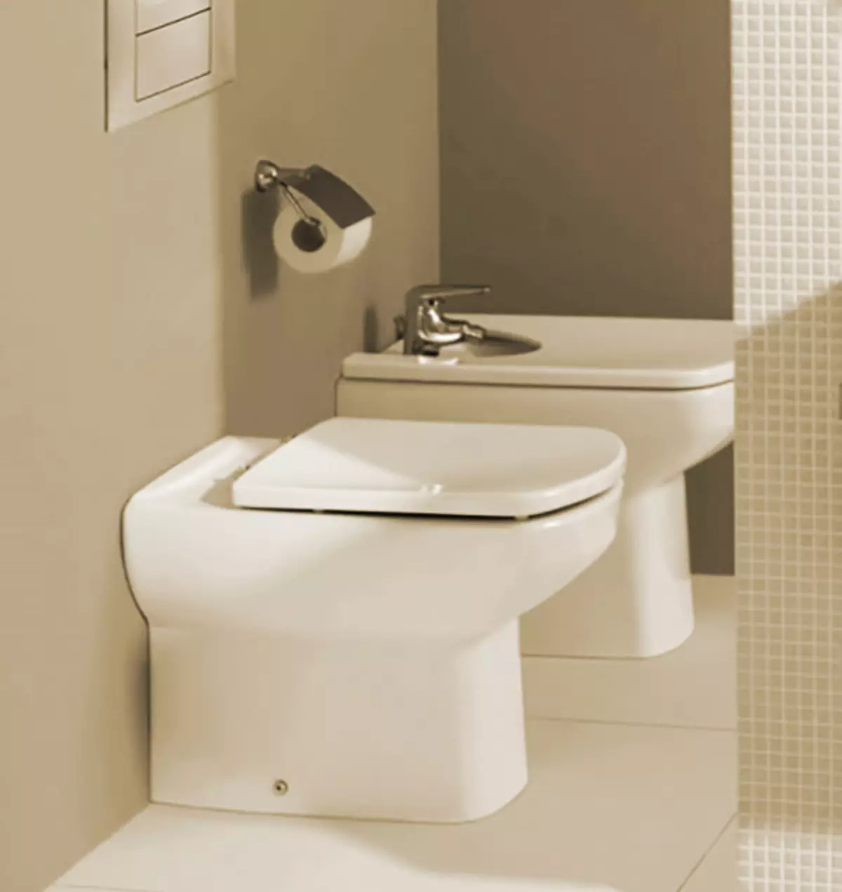 Roca toilette: Kenmerke van opgeskorte en woedende modelle, reindeters van toiletbakke Gap skoon rand en Victoria Nord, Dama Senso Compacto en Debba, Resensies 10542_33