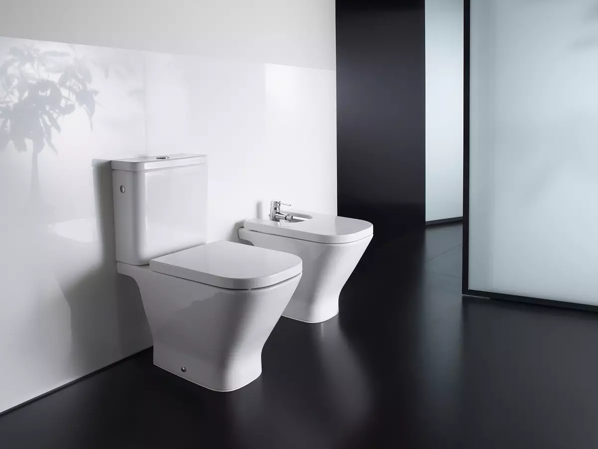 Roca toilette: Kenmerke van opgeskorte en woedende modelle, reindeters van toiletbakke Gap skoon rand en Victoria Nord, Dama Senso Compacto en Debba, Resensies 10542_35