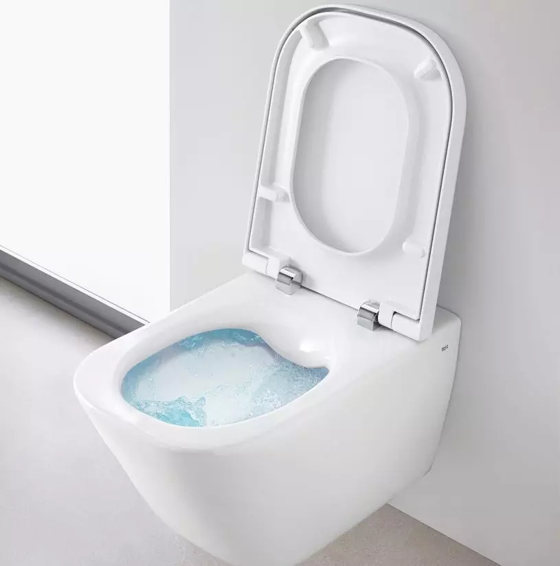 Roca toilette: Kenmerke van opgeskorte en woedende modelle, reindeters van toiletbakke Gap skoon rand en Victoria Nord, Dama Senso Compacto en Debba, Resensies 10542_36