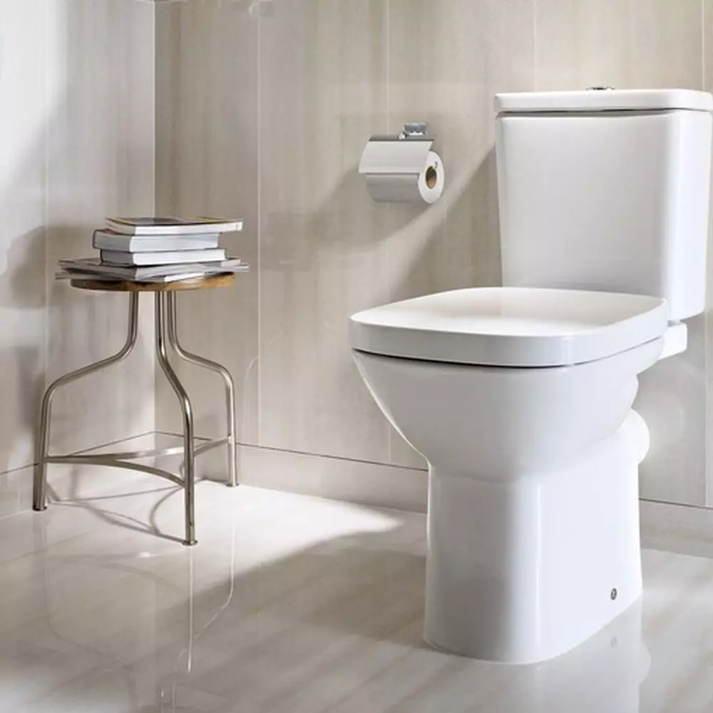 Roca toilette: Kenmerke van opgeskorte en woedende modelle, reindeters van toiletbakke Gap skoon rand en Victoria Nord, Dama Senso Compacto en Debba, Resensies 10542_37