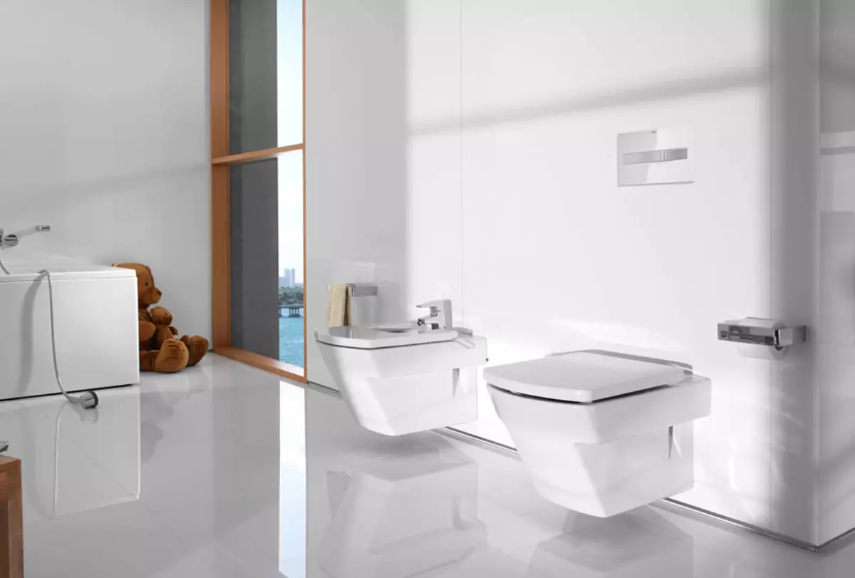 Roca toilette: Kenmerke van opgeskorte en woedende modelle, reindeters van toiletbakke Gap skoon rand en Victoria Nord, Dama Senso Compacto en Debba, Resensies 10542_39