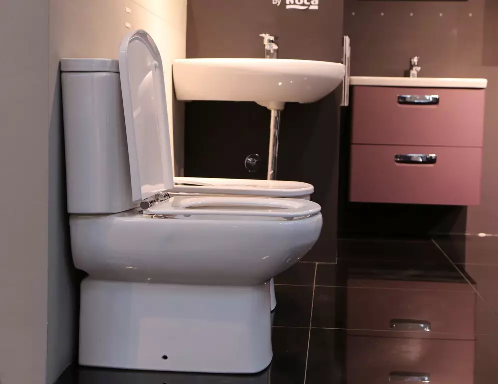 Roca toilette: Kenmerke van opgeskorte en woedende modelle, reindeters van toiletbakke Gap skoon rand en Victoria Nord, Dama Senso Compacto en Debba, Resensies 10542_4