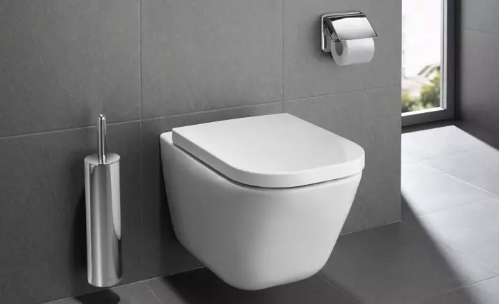 Roca toilette: Kenmerke van opgeskorte en woedende modelle, reindeters van toiletbakke Gap skoon rand en Victoria Nord, Dama Senso Compacto en Debba, Resensies 10542_43
