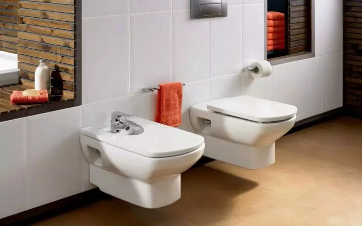 Roca toilette: Kenmerke van opgeskorte en woedende modelle, reindeters van toiletbakke Gap skoon rand en Victoria Nord, Dama Senso Compacto en Debba, Resensies 10542_44