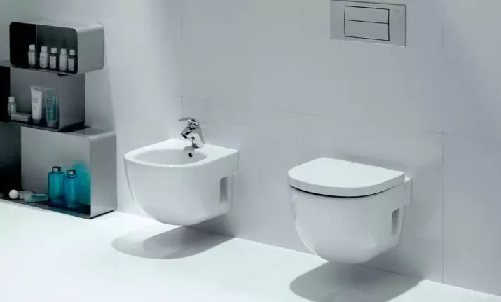 Roca toilette: Kenmerke van opgeskorte en woedende modelle, reindeters van toiletbakke Gap skoon rand en Victoria Nord, Dama Senso Compacto en Debba, Resensies 10542_45