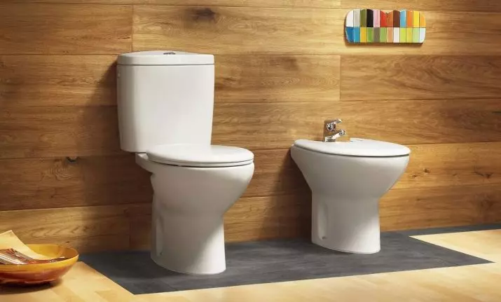 Roca toilette: Kenmerke van opgeskorte en woedende modelle, reindeters van toiletbakke Gap skoon rand en Victoria Nord, Dama Senso Compacto en Debba, Resensies 10542_48