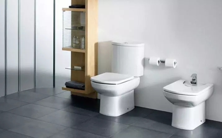 Roca toilette: Kenmerke van opgeskorte en woedende modelle, reindeters van toiletbakke Gap skoon rand en Victoria Nord, Dama Senso Compacto en Debba, Resensies 10542_49