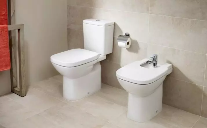Roca toilette: Kenmerke van opgeskorte en woedende modelle, reindeters van toiletbakke Gap skoon rand en Victoria Nord, Dama Senso Compacto en Debba, Resensies 10542_50