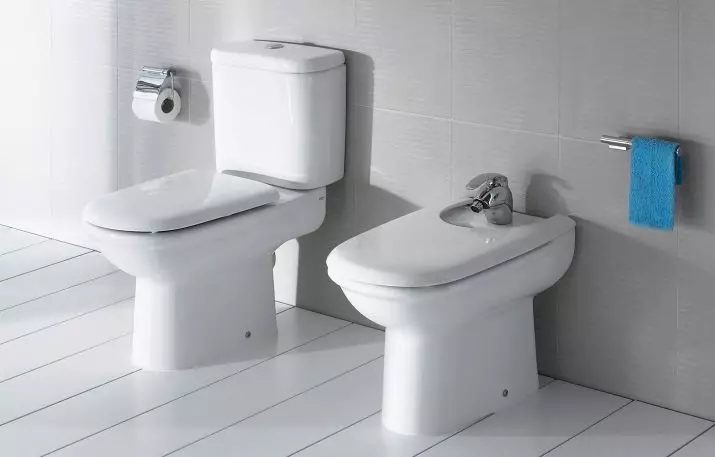 Roca toilette: Kenmerke van opgeskorte en woedende modelle, reindeters van toiletbakke Gap skoon rand en Victoria Nord, Dama Senso Compacto en Debba, Resensies 10542_52