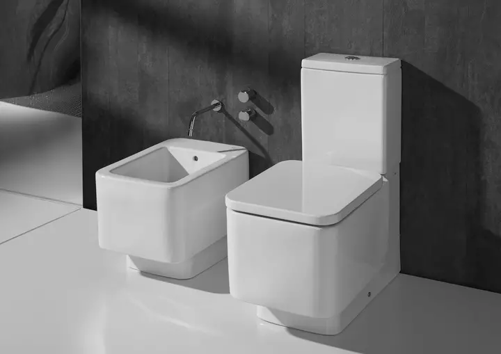 Roca toilette: Kenmerke van opgeskorte en woedende modelle, reindeters van toiletbakke Gap skoon rand en Victoria Nord, Dama Senso Compacto en Debba, Resensies 10542_67