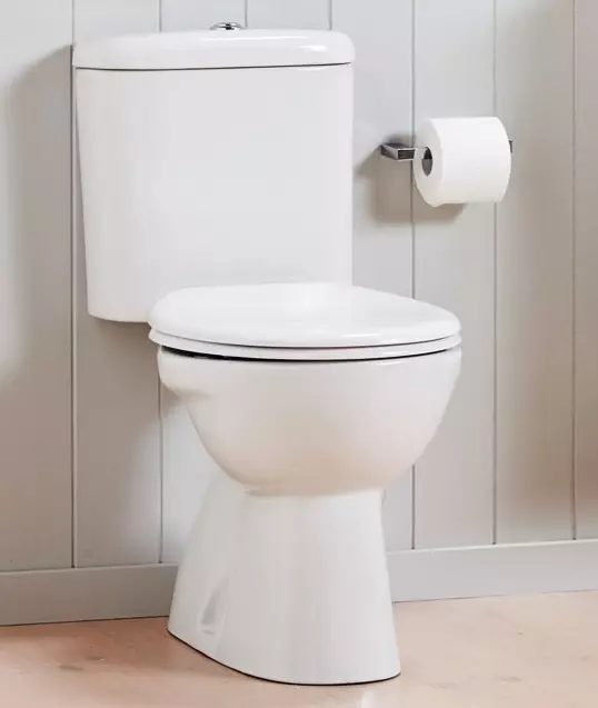 Toilets Belbagno: an overview of suspended and rimless toilet bowl of a series of Prospero and Alpina, Torino and Mattino, Ancona and Alba, Gala and Sfera. Reviews 10543_10