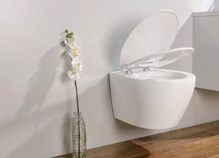 Toilets Belbagno: an overview of suspended and rimless toilet bowl of a series of Prospero and Alpina, Torino and Mattino, Ancona and Alba, Gala and Sfera. Reviews 10543_33