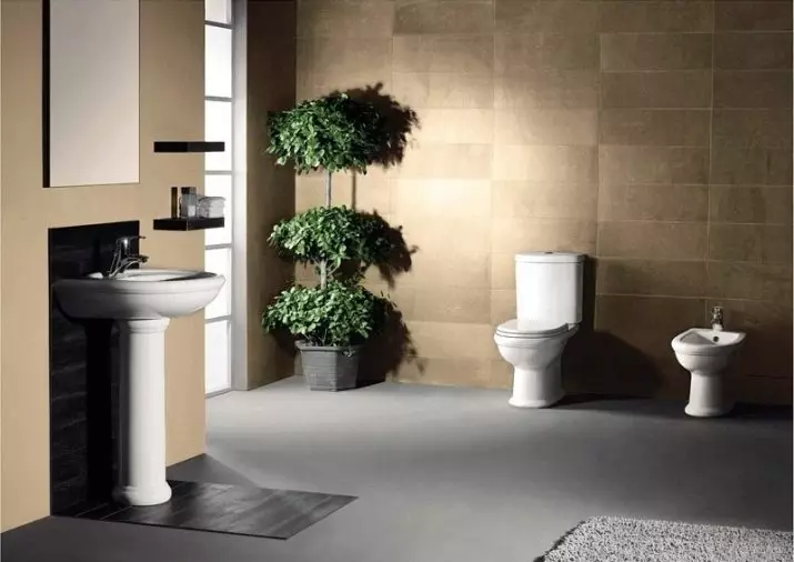 Belbagno शौचालय: Prospero और अल्पाइना, टोरिनो और मैटिनो, Ancona और अल्बा, गाला और Sfera श्रृंखला से निलंबित और उग्र शौचालयों का अवलोकन। समीक्षा 10543_38
