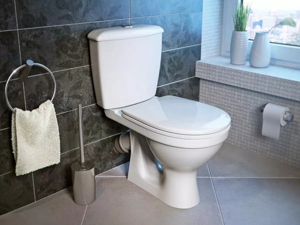 Kas ir labāks tualetam: porcelāns vai fajanss? SanataDayans un Sanfarfora plusi un mīnusi. Kāds materiāls ir labāks? 10546_10