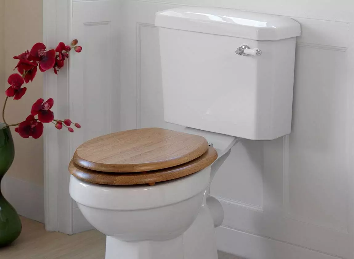 Hvad er bedre til toilet: porcelæn eller fajance? Fordele og ulemper ved Sanatayans og Sanfarfora. Hvilket materiale er bedre? 10546_12