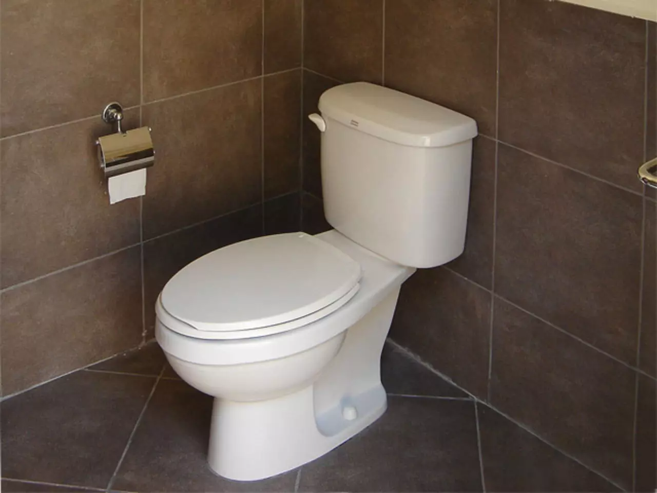 Was ist besser für die Toilette: Porzellan oder Fayence? Vor- und Nachteile von Sanatayans und Sanfarfora. Welches Material ist besser? 10546_13