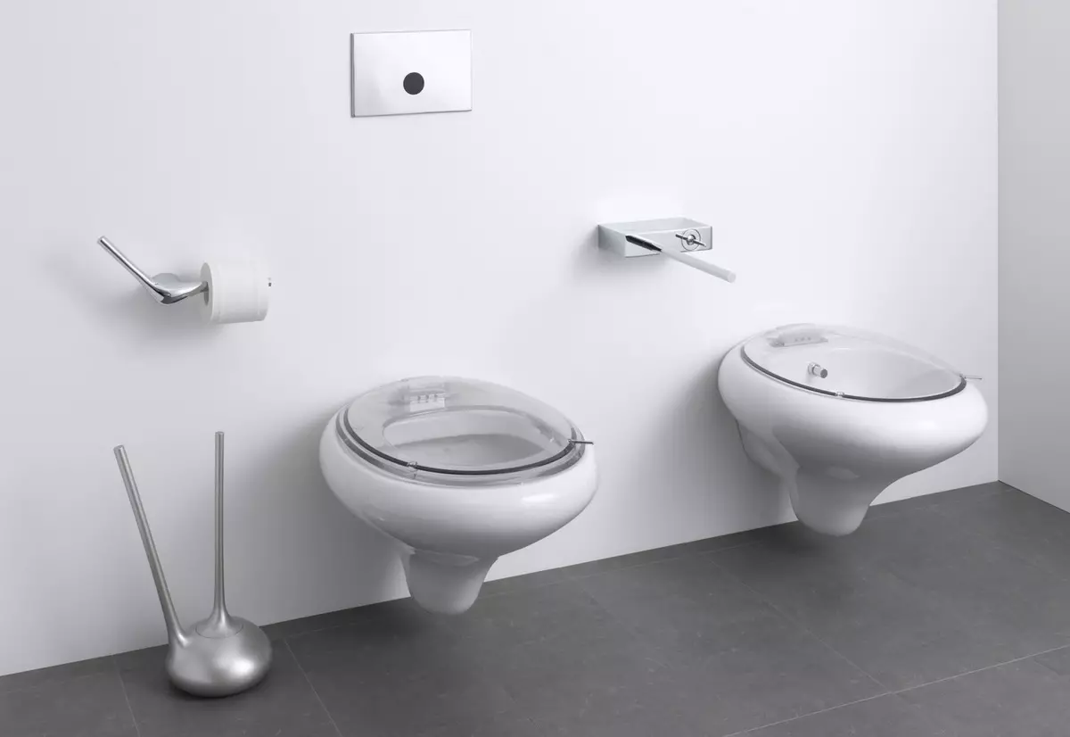 Ce este mai bine pentru toaletă: porțelan sau faianță? Argumente pro și contra ale Sanatayans și Sanfarfora. Ce material este mai bun? 10546_16