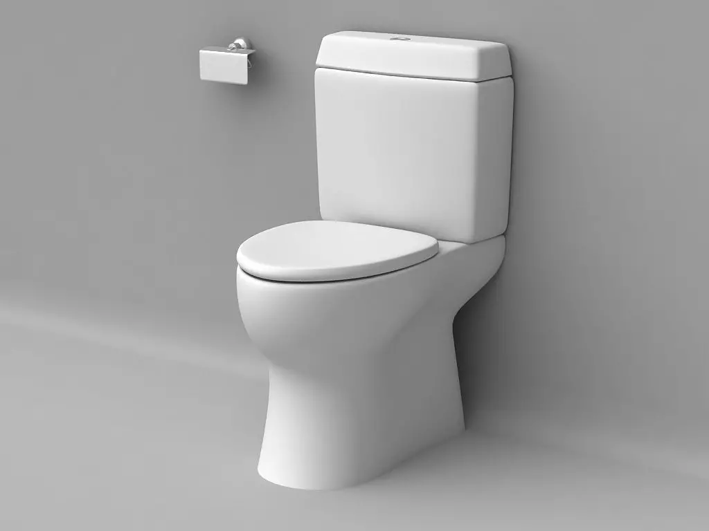 Čo je lepšie na toalete: porcelán alebo fajčenie? Pros a nevýhody Sanatayans a Sanfarra. Aký materiál je lepší? 10546_20