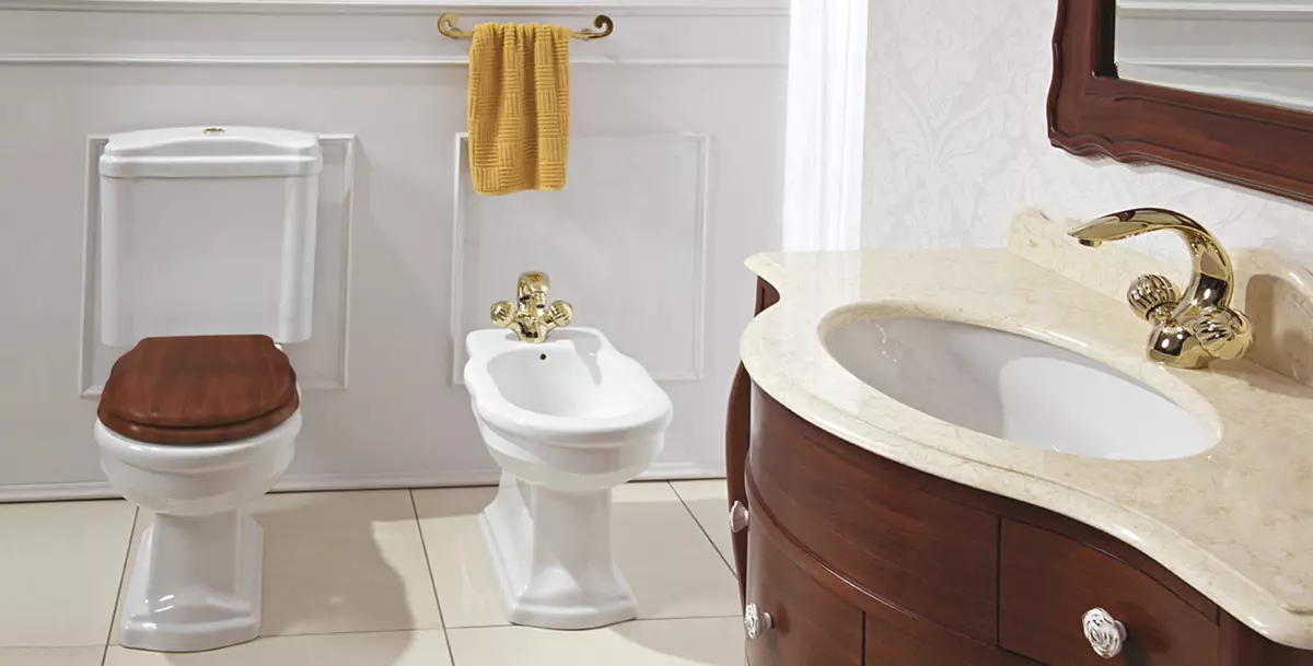 शौचालयासाठी काय चांगले आहे: पोर्सिलीन किंवा फैन्स? सनातन आणि सॅनफरफोराचे गुणधर्म आणि बनावट. कोणती सामग्री चांगली आहे? 10546_28