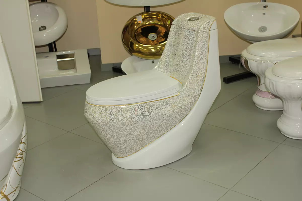 برای توالت بهتر است: پرسلن یا فینال؟ جوانب مثبت و منفی Sanatayans و Sanfarfora. چه مواد بهتر است؟ 10546_6