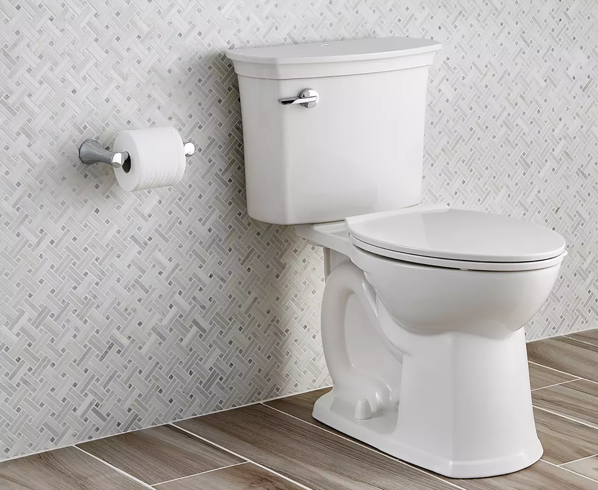 Was ist besser für die Toilette: Porzellan oder Fayence? Vor- und Nachteile von Sanatayans und Sanfarfora. Welches Material ist besser? 10546_9