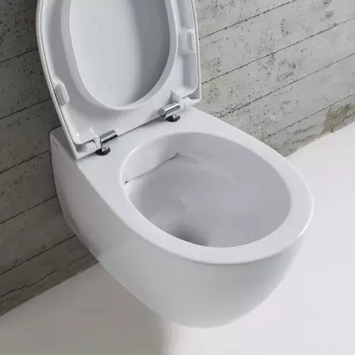 Bearing toilet (75 foto): Apa iku? Pros lan kontra saka bokor jamban tanpa lega, fitur saka mangkuk saringan lan bokor jamban kompak, ulasan 10547_19