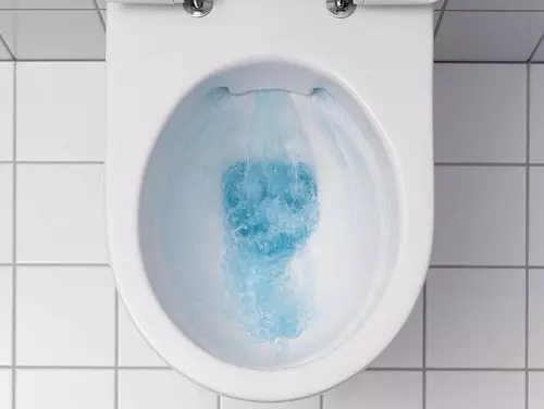 Bearing toilet (75 foto): Apa iku? Pros lan kontra saka bokor jamban tanpa lega, fitur saka mangkuk saringan lan bokor jamban kompak, ulasan 10547_20