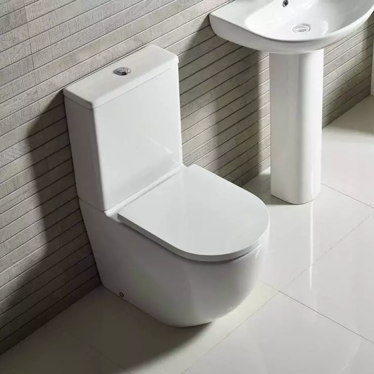 攜帶廁所（75張）：它是什麼？衛生間碗的優缺點沒有輪輞，濾波器型號和衛生間碗的功能緊湊，評論 10547_21