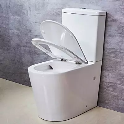 Roding WC (75 fotos): ¿Qué es? Pros y contras de las tazones de inodoro sin llanta, características de los modelos de filtro y los tazones de inodoro compactos, comentarios 10547_23