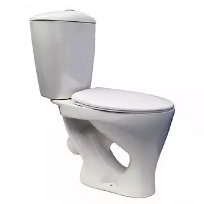 टॉयलेट (75 फोटो) असणे: ते काय आहे? रिमशिवाय शौचालय बाउल्सचे गुण आणि विवेक, फिल्टर मॉडेल आणि शौचालय बॉल कॉम्पॅक्ट, पुनरावलोकने 10547_26