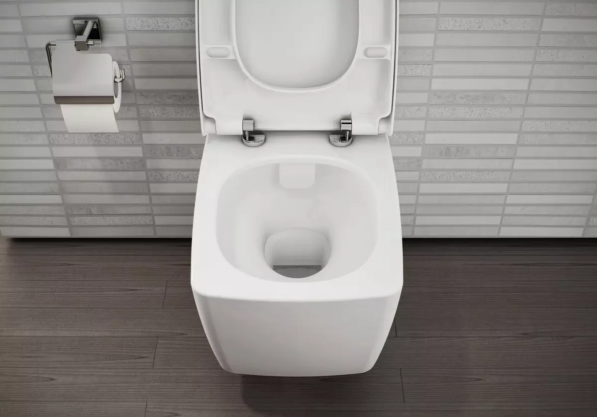 Bearing toilet (75 foto): Apa iku? Pros lan kontra saka bokor jamban tanpa lega, fitur saka mangkuk saringan lan bokor jamban kompak, ulasan 10547_3